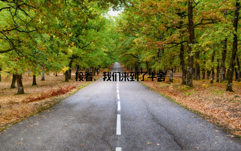 接着, 我们来到了牛舍