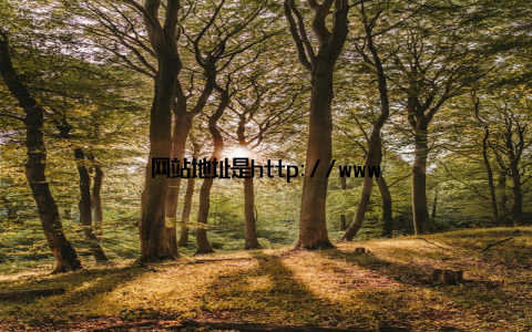 网站地址是http://www