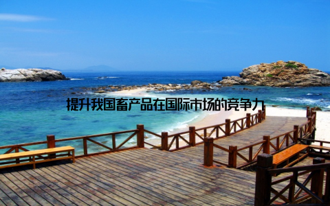 提升我国畜产品在国际市场的竞争力