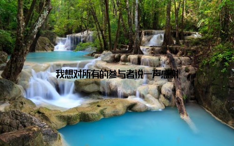 我想对所有的参与者说一声感谢