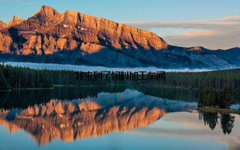 我来到了饲料加工车间