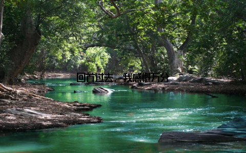 回首过去, 我感慨万分
