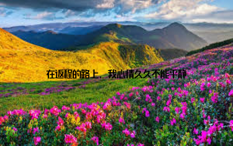 在返程的路上, 我心情久久不能平静